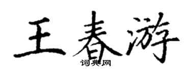 丁谦王春游楷书个性签名怎么写