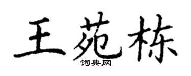 丁谦王苑栋楷书个性签名怎么写