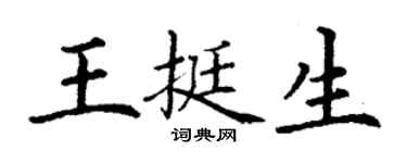 丁谦王挺生楷书个性签名怎么写