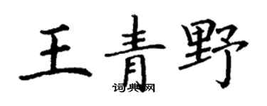 丁谦王青野楷书个性签名怎么写