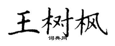 丁谦王树枫楷书个性签名怎么写