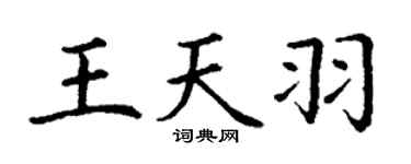 丁谦王天羽楷书个性签名怎么写