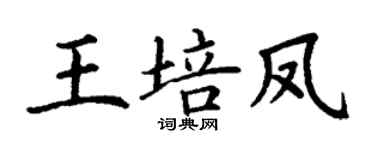 丁谦王培凤楷书个性签名怎么写