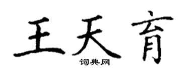 丁谦王天育楷书个性签名怎么写