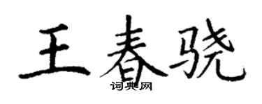 丁谦王春骁楷书个性签名怎么写