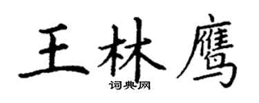 丁谦王林鹰楷书个性签名怎么写