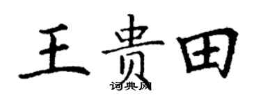 丁谦王贵田楷书个性签名怎么写