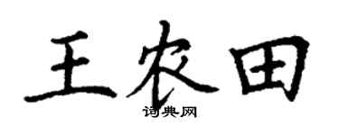 丁谦王农田楷书个性签名怎么写