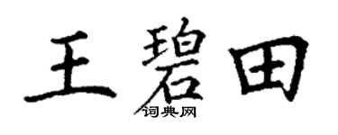 丁谦王碧田楷书个性签名怎么写