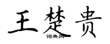 丁谦王楚贵楷书个性签名怎么写