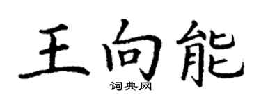 丁谦王向能楷书个性签名怎么写