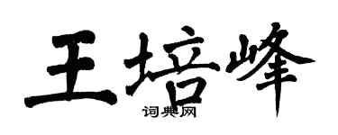 翁闿运王培峰楷书个性签名怎么写