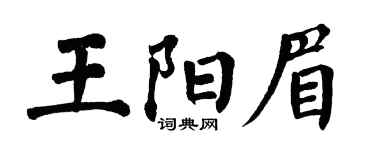 翁闿运王阳眉楷书个性签名怎么写