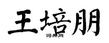 翁闿运王培朋楷书个性签名怎么写