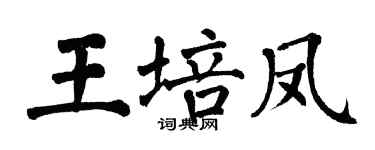 翁闿运王培凤楷书个性签名怎么写