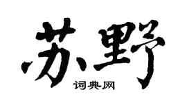 翁闿运苏野楷书个性签名怎么写