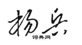 骆恒光杨兵草书个性签名怎么写