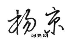 骆恒光杨京草书个性签名怎么写