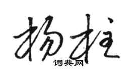 骆恒光杨柱草书个性签名怎么写