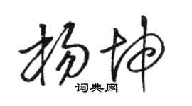 骆恒光杨坤草书个性签名怎么写