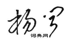 骆恒光杨闻草书个性签名怎么写