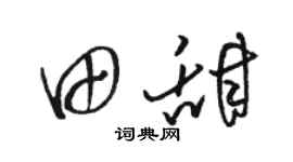 骆恒光田甜草书个性签名怎么写