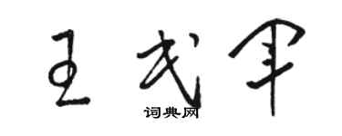 骆恒光王民军草书个性签名怎么写