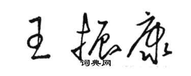 骆恒光王振康草书个性签名怎么写