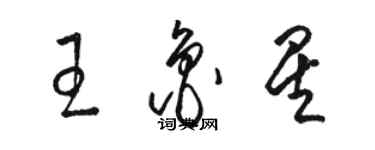 骆恒光王鲁星草书个性签名怎么写
