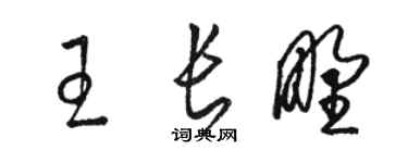 骆恒光王长野草书个性签名怎么写