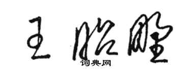 骆恒光王昭野草书个性签名怎么写