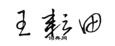 骆恒光王耘田草书个性签名怎么写