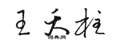 骆恒光王夭柱草书个性签名怎么写