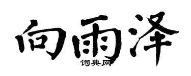 翁闿运向雨泽楷书个性签名怎么写