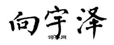 翁闿运向宇泽楷书个性签名怎么写