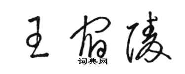 骆恒光王宿陵草书个性签名怎么写