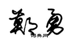 朱锡荣郑勇草书个性签名怎么写