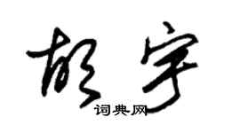 朱锡荣胡宇草书个性签名怎么写