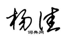 朱锡荣杨佳草书个性签名怎么写