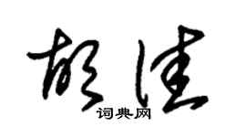 朱锡荣胡佳草书个性签名怎么写