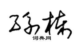 朱锡荣孙栋草书个性签名怎么写