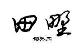 朱锡荣田野草书个性签名怎么写