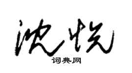 朱锡荣沈悦草书个性签名怎么写