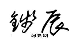 朱锡荣钱辰草书个性签名怎么写