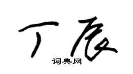 朱锡荣丁辰草书个性签名怎么写