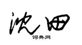 朱锡荣沈田草书个性签名怎么写