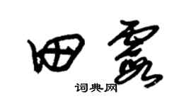 朱锡荣田霞草书个性签名怎么写