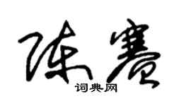 朱锡荣陈赛草书个性签名怎么写