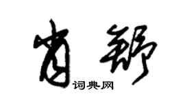 朱锡荣肖舒草书个性签名怎么写