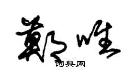 朱锡荣郑唯草书个性签名怎么写